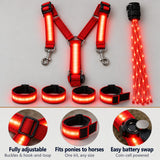 Red LED horse harness set with adjustable buckles, leg band straps and coin-cell battery detail