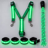 GallopLights LED horse harness set in green: chest harness, 4 leg bands and tail light