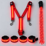 GallopLights LED horse harness set in red: chest harness, 4 leg bands and tail light