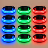 LED leg bands in blue, green and red