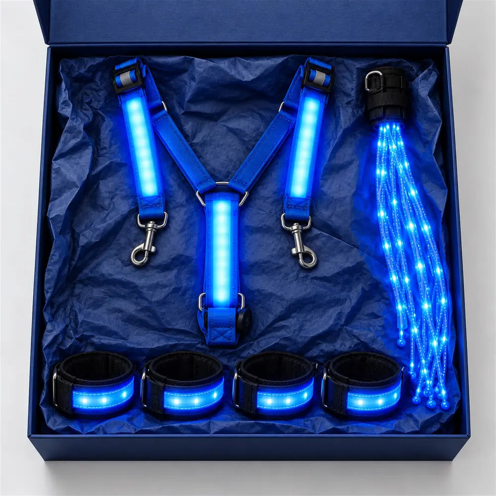 LED chest harness, 4 leg bands and tail light in the box